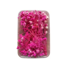 Dry Flower Box VC031