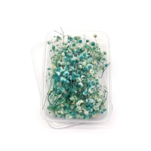 Baby Breath Dry Flower Box (VC20592)
