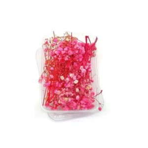 Dry Flower Box VC032