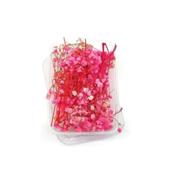 Dry Flower Box VC032