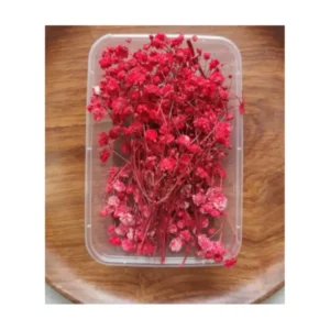 Dry Flower Box VC026