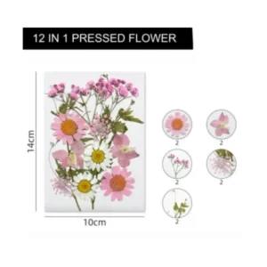 Dry Flower Sheet (VCFL174)