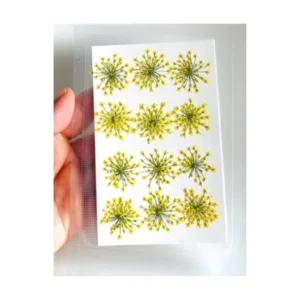 Queen Anne Lace Dry Flower Sheet – Yellow
