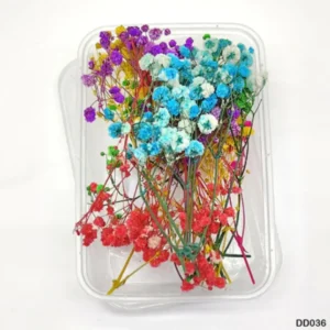Dry Baby Breath Flower Box – Mix Colour